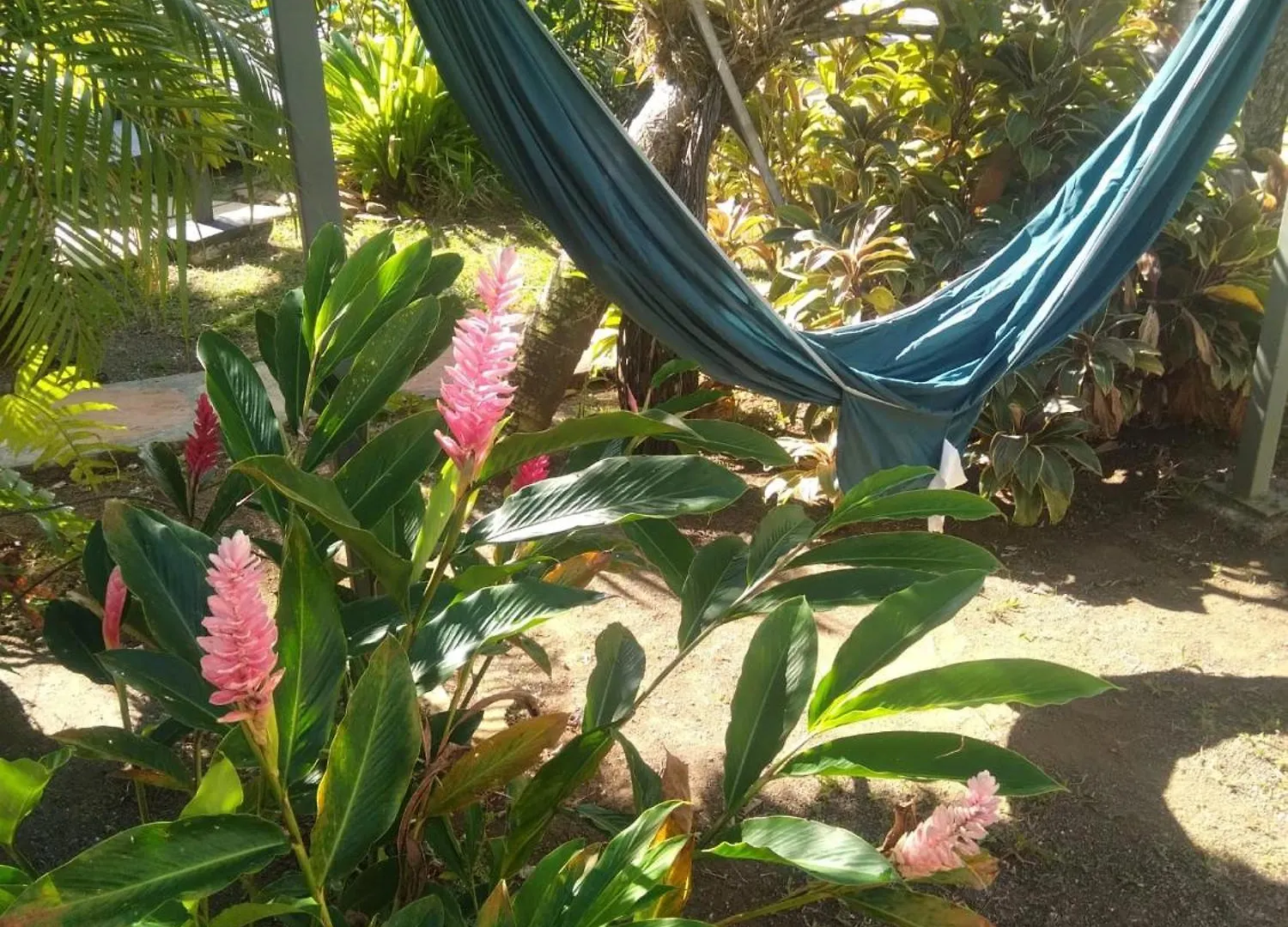 Bungalow Charmant A Sainte-Rose Avec Terrasse Et Piscine 0*,