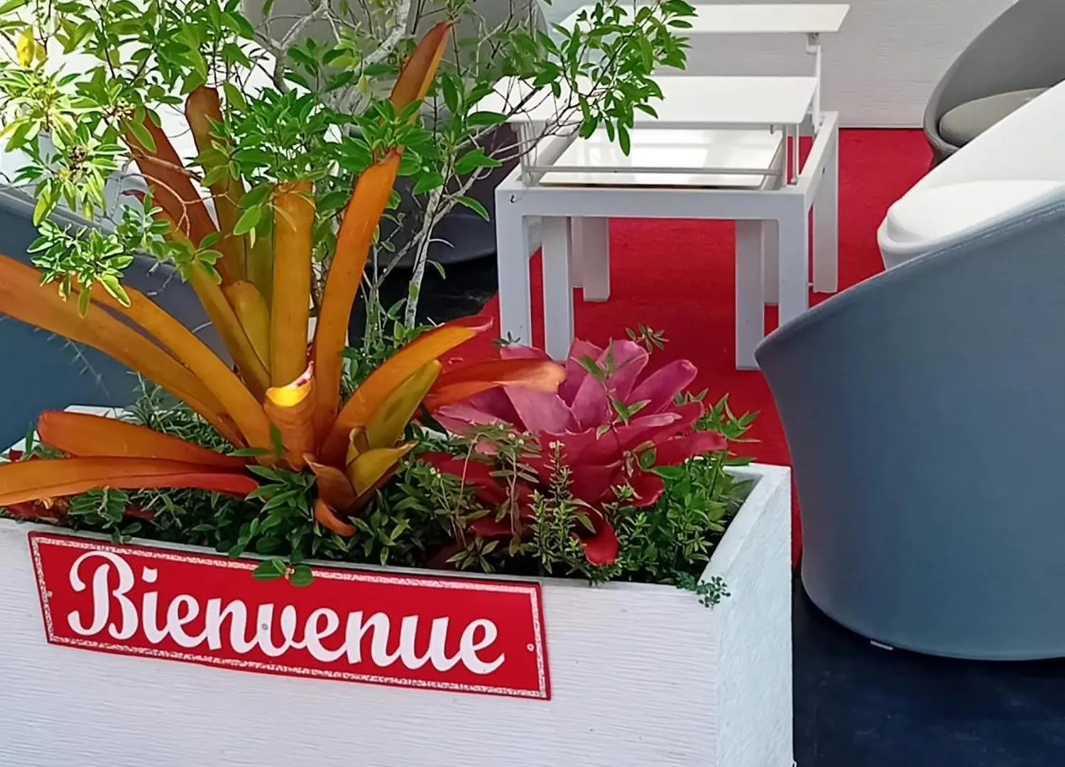 Bungalow Charmant A Sainte-Rose Avec Terrasse Et Piscine Vakantiehuis